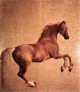 STUBBS, George Whistlejacket r oil painting reproduction